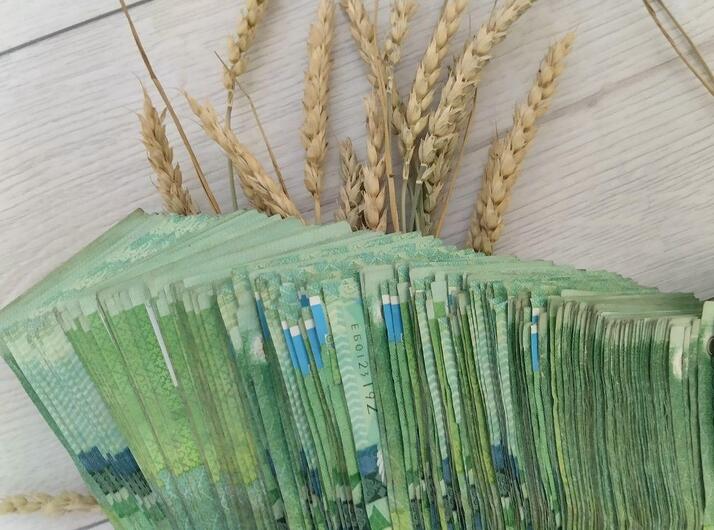 Новая госпрограмма Казахстана «Заказ на инвестиции»